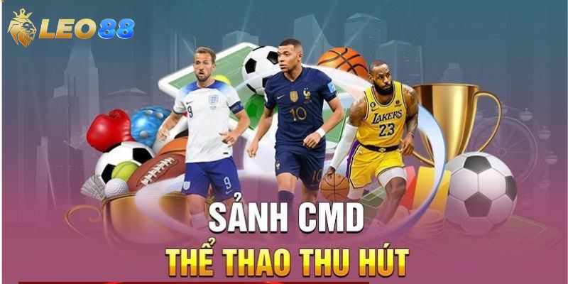 Tổng hợp những thông tin chi tiết tại CMD Sports