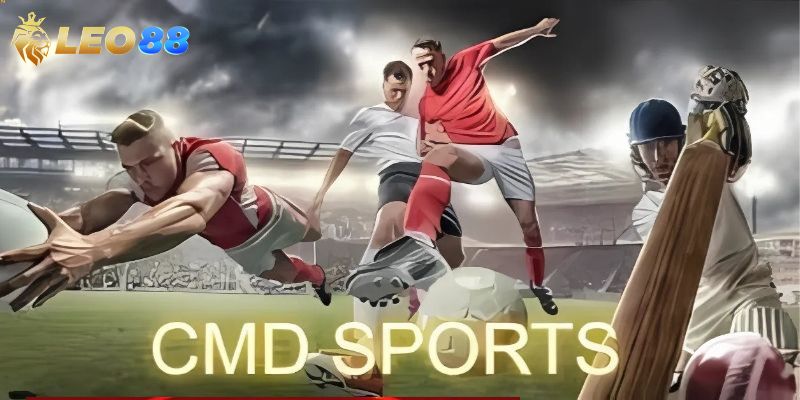 Các môn thể thao hấp dẫn nhất hiện nay