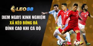 Kinh Nghiệm Xả Kèo Bóng Đá