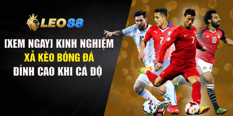 Kinh Nghiệm Xả Kèo Bóng Đá