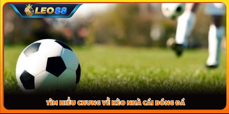 Giới thiệu cơ bản về kèo nhà cái bóng đá