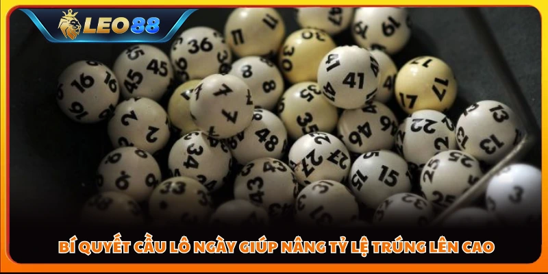 Bí quyết cầu lô ngày giúp nâng tỷ lệ trúng lên cao