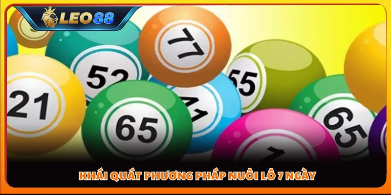 Giới thiệu tổng quan về cách nuôi lô 7 ngày