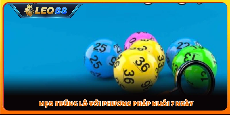 Mẹo trúng lô với phương pháp nuôi 7 ngày