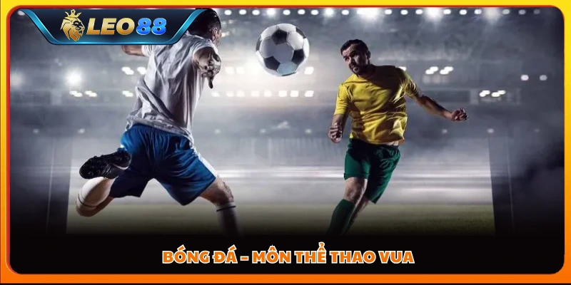 Bóng đá – Môn thể thao vua