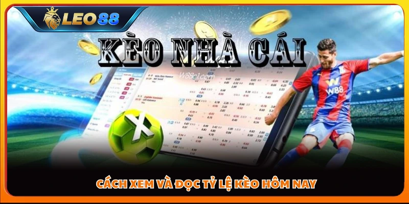 Cách phân tích và hiểu tỷ lệ kèo hôm nay